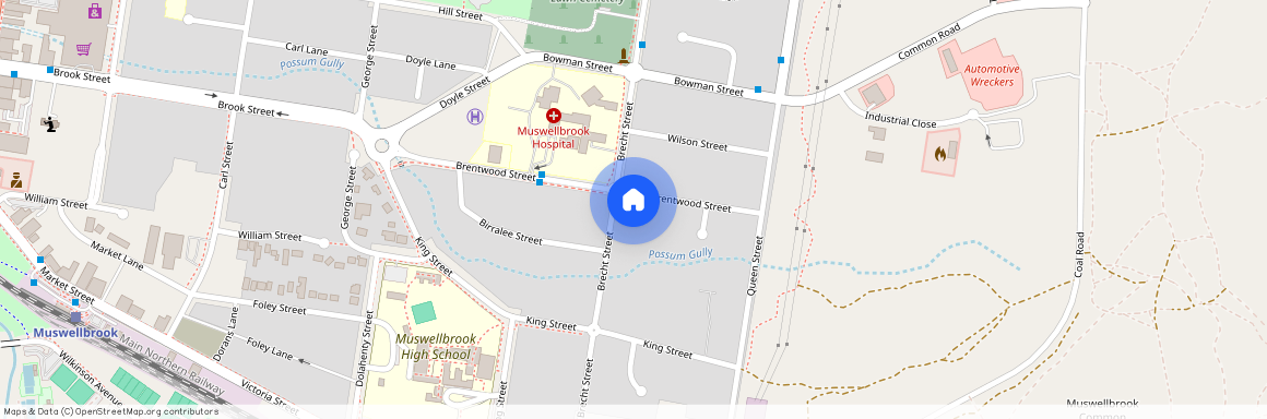 37 Brentwood Street, Muswellbrook, NSW 2333