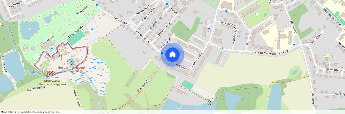 Professor-Willkomm-Str. 1c, 09212 Sachsen - Limbach-Oberfrohna