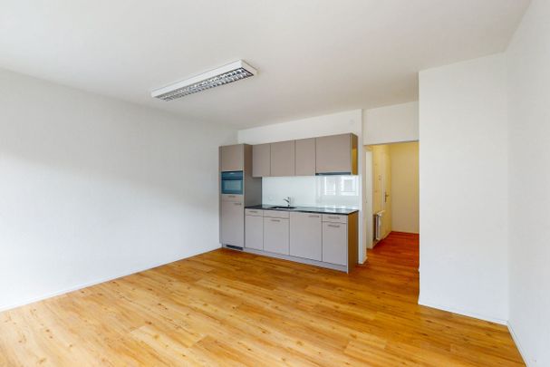 Cozy city apartment - Photo 1