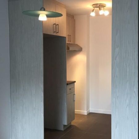 GRAND 3 ½ - ENTIÈREMENT RÉNOVÉ , 1165$/MOIS TOUT COMPRIS! DISPONIBLE POUR JUILLET - Photo 3