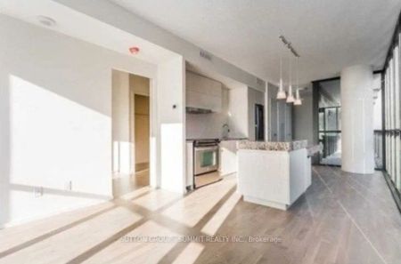 101 Charles Street E #516 - Photo 4