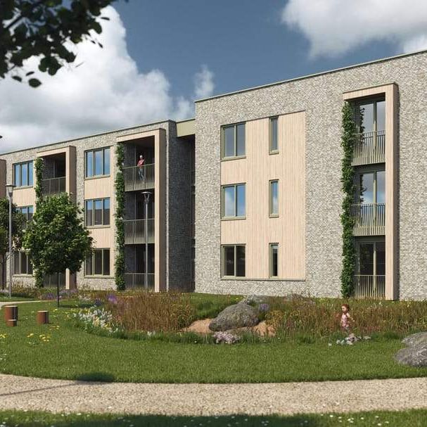 Appartement Het Bösveld, Reuver - À Louer - Photo 1
