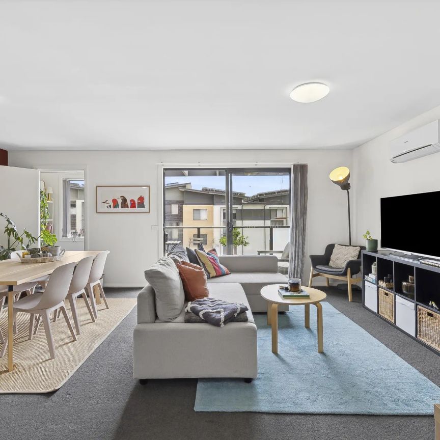 Sun filled apartment - Photo 1