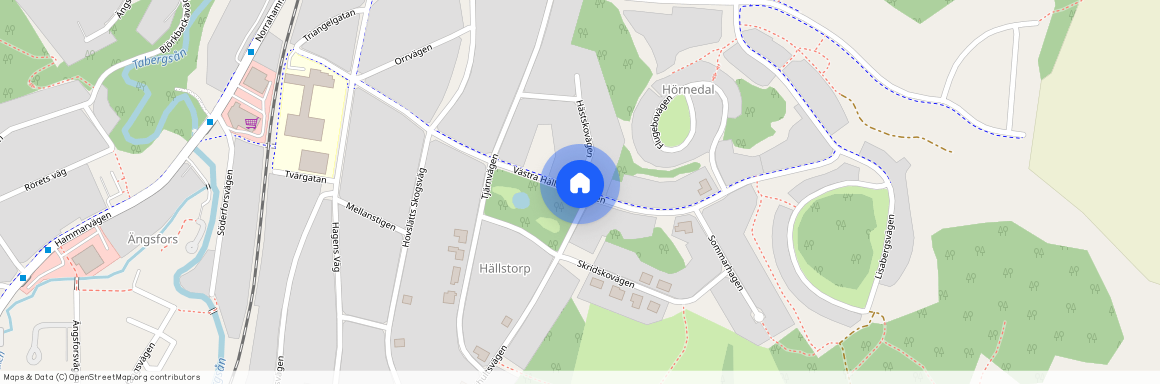 Västra Hällstorpsvägen, Jönköping