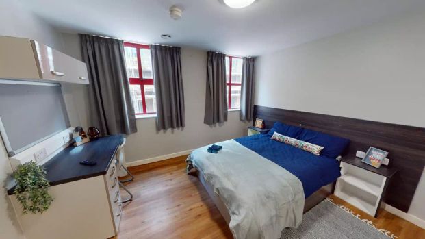 Classic Studio - Photo 1