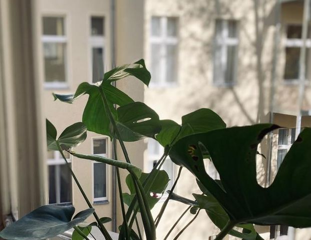 Suche: Kleine Wohnung (Pendlerin) - Photo 1