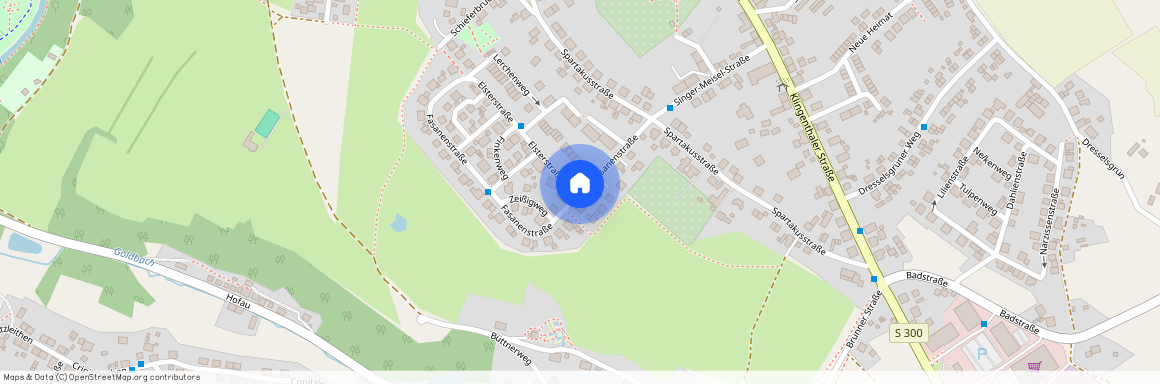 Fasanenstraße, 08209, Fasanenstraße    Auerbachvogtland