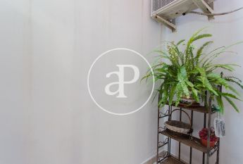 Study in the Cabañal