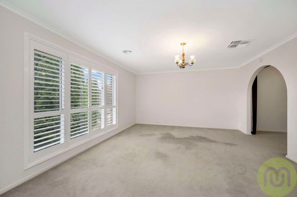 Prime Location! - Photo 1