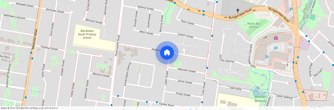 40 Newhaven Avenue, NSW 2148, Blacktown