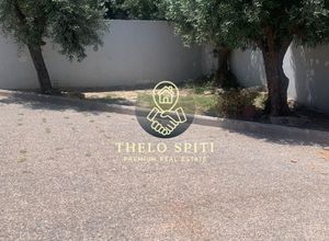 Μονοκατοικία για ενοικίαση - Μαρκόπουλο, - Photo 5