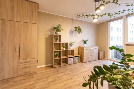 Do wynajęcia 3 pokoje w centrum Zielonej Góry! - Zdjęcie 3