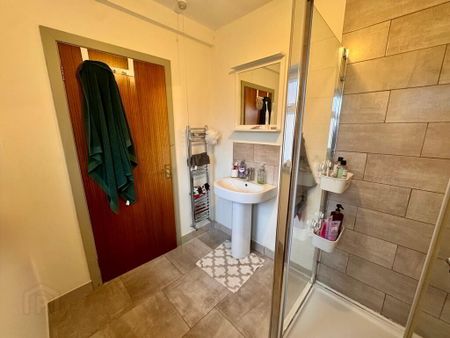 19 Egeria Street, Donegall Road, Belfast, BT12 5PN - Photo 4