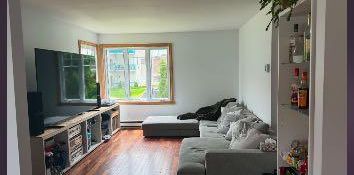 Beau grand 7 1/2 - Photo 2