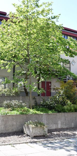 Kryssdäcket 14 - Foto 1