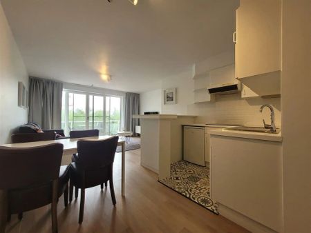 Gemeubeld appartement met 1 slaapkamer - foto 3