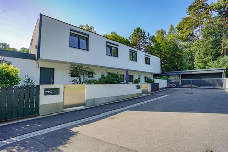 Luxuriöse Villa zur Miete in Stein – Eleganz und Komfort auf höchstem Niveau - Foto 2