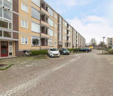 Fazantstraat 2406 VJ Alphen aan den Rijn - Photo 1