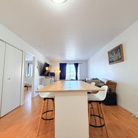 Appartement 3 ½ à louer Sainte-Foy / Sillery juillet 2026 - Photo 3