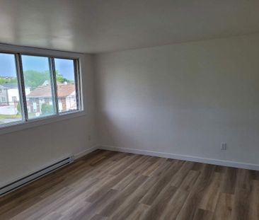 Grand logement 5½ spacieux et bien entretenu à louer – Spacious & W... - Photo 1