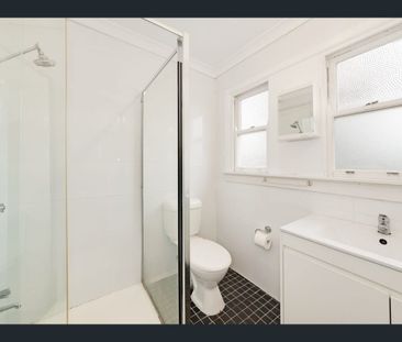 Spacious 3 Bedroom Oasis - Photo 4