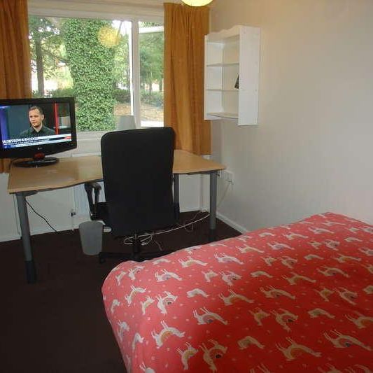 Dollery Drive, Edgbaston, Birmingham, B5 - Photo 1