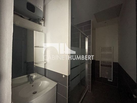 Location Appartement 1 pièce 41m² ST ETIENNE 42000 - Photo 1