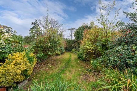 3 bedroom house to rent - Photo 5