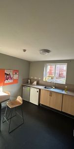 Room in a Shared House, Liberty Court, B5 - Photo 3
