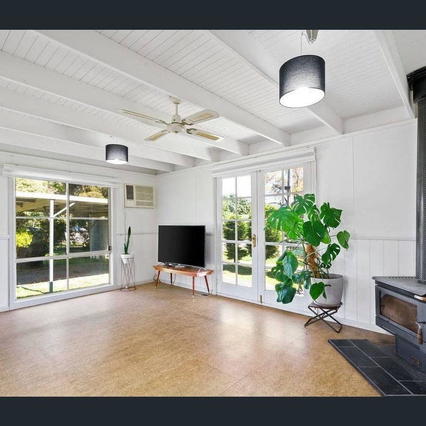 Prime Location - Photo 1