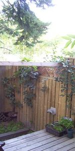 Lrg 1 bdrm aptm garden laundry quiet st close to transport, park, DVP - Photo 4