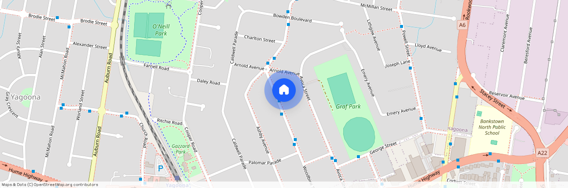 9 Woodbine Street, NSW 2199, Yagoona