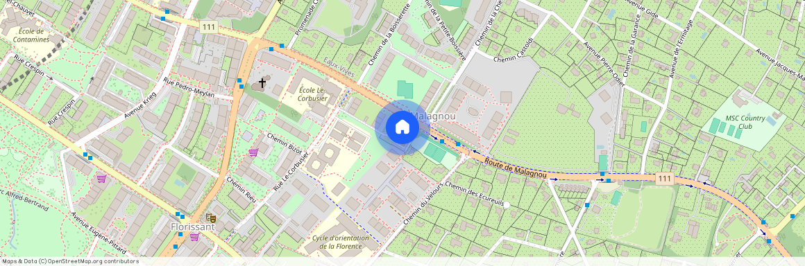 13A rue le Corbusier, 1208 Geneva