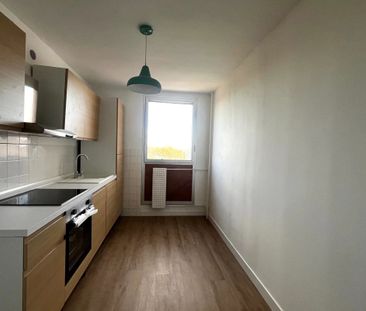 Appartement 1 chambre Place des Troubadours - Photo 4