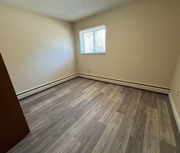 SPACIOUS 2 Bedroom APARTMENT!! GREAT LOCATION Downtown!!! - Photo 5