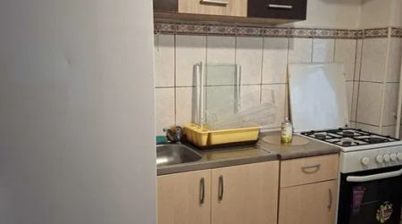 Apartament, 1 camera decomandat, 40 mp, Nicolina, de inchiriat, Lidl, Cod 162946 - Fotografie 2