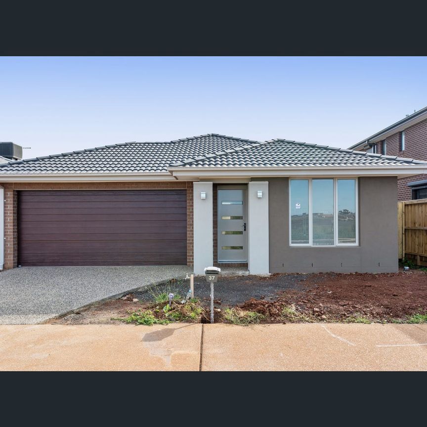 29 Higgins Street, Fraser Rise, Vic 3336 - Photo 1