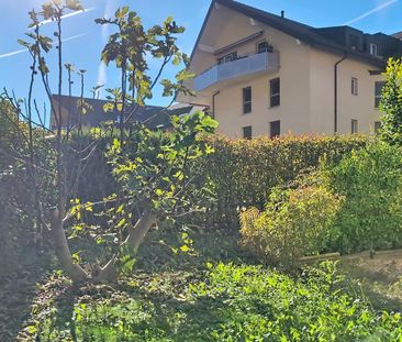 Charmant 3.5 pièces au rez-de-chaussée - Photo 3