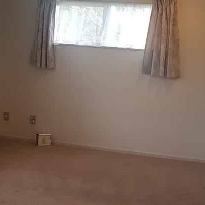 Near New Home, Near Macleans College - Photo 1