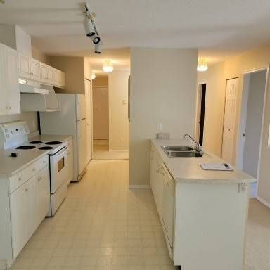 Quiet 2 bedroom apartment for rent - Photo 1