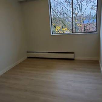 1-Bedroom Apartment-Newly Renovated - Photo 3