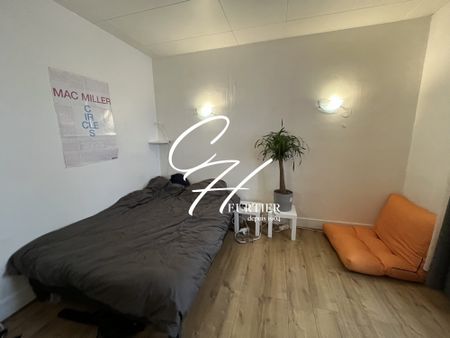 GRENOBLE - HYPER CENTRE - T2 - Photo 5