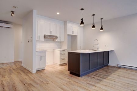 5513, boul. René-Lévesque #303, Sherbrooke (Rock Forest | St-Élie) - Photo 5