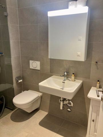 31/2-ROOM APARTMENT IN BERN - MURIFELD, FURNISHED, TEMPORARY - Photo 4