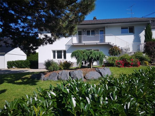 Location Appartement 43.56 M² MUESPACH-LE-HAUT 595 € - Photo 1