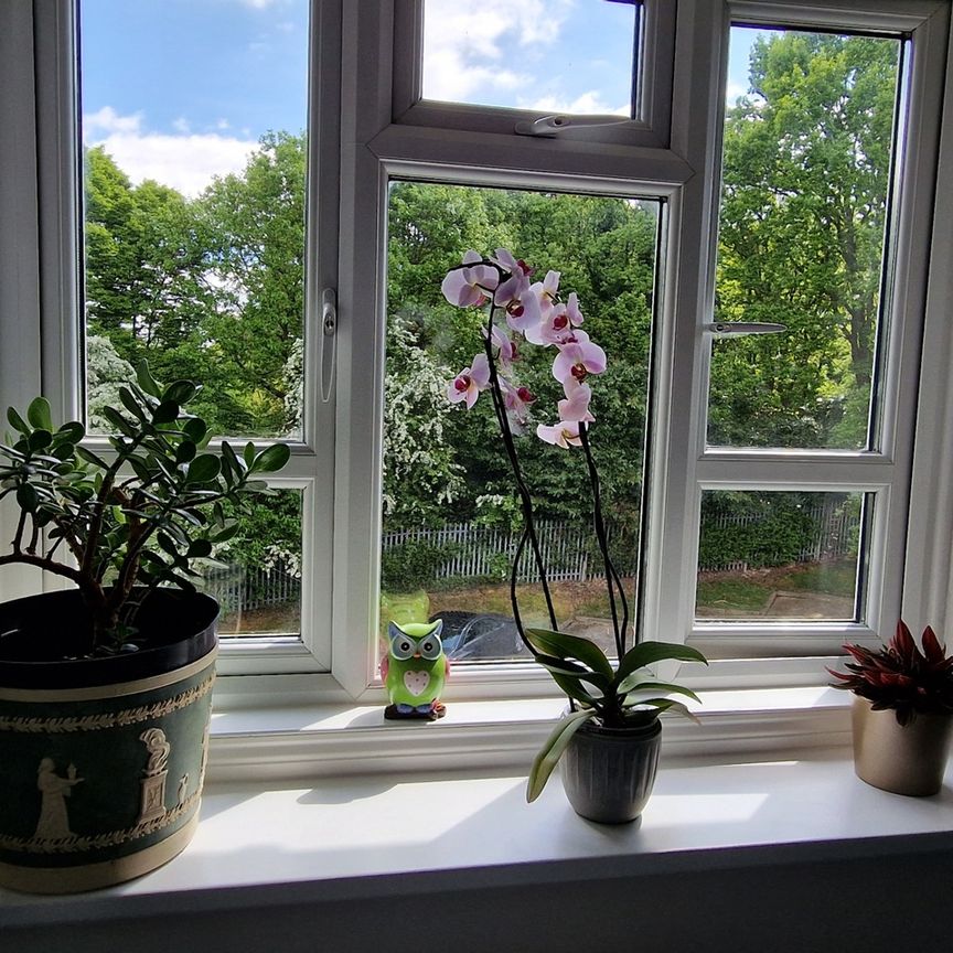 Room in a Shared Flat, Alexandra Road, N10 - Photo 1
