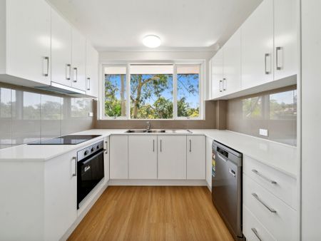 51/2 Artarmon Road, Willoughby NSW 2068 - Apartment For Rent | Domain - Photo 3