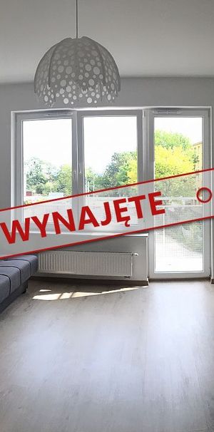 Kawalerka na wynajem na ulicy Potulickiej ! - Zdjęcie 1