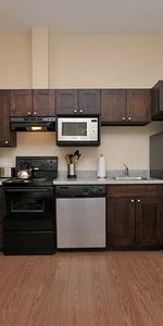 Pet Friendly All Inclusive Furnished Studio Suite - Photo 3