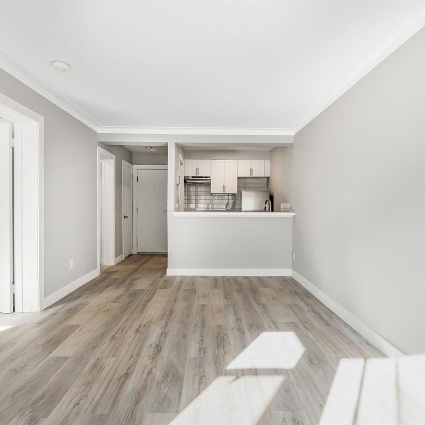 Large And Newly Renovated 1 Bedroom Apartment - 4615-4625 Bourret Avenue, Montréal - Photo 1